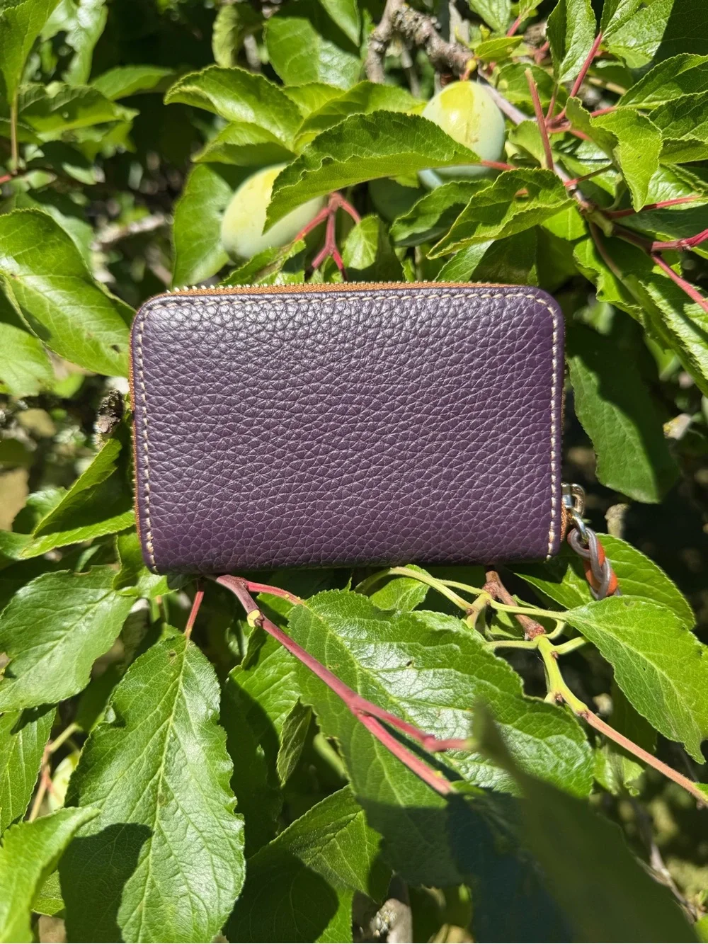 Dooney & Bourke Plum Pebble Leather Zip-Around Wallet with Contrast Trim - Picture 2 of 3